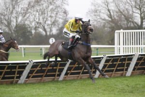 FU0E9791 Ambiente Friendly