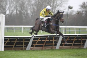 FU0E9815 Ambiente Friendly