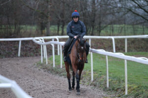 FU0E9973 The Jukebox Man