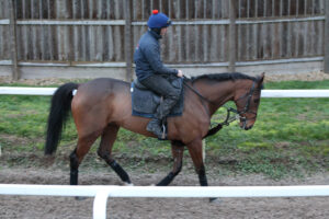 FU0E9977 The Jukebox Man