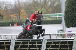 FV1E1752 Fresh Kicks