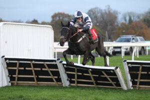 FV1E2061 Final Straw