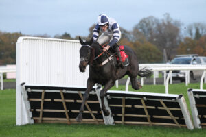 FV1E2062 Final Straw