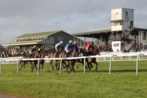 FV1E3019 Hereford Stands