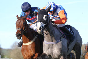 FV1E3821 Another Fine Mess