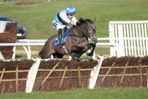 FV1E3941 Tenter Le Tout