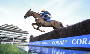 X5B8698 No Questions Asked