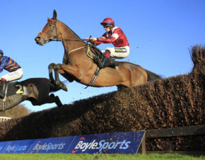 16B2475 Master Chewy