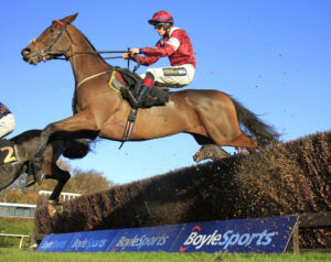 16B2476 Master Chewy