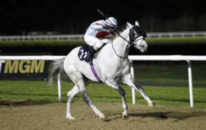 20J7959 Harbour Vision