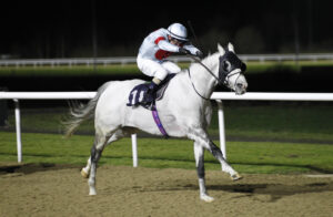 20J7960 Harbour Vision