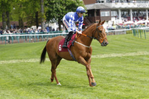 20J9966 Down To The Kid