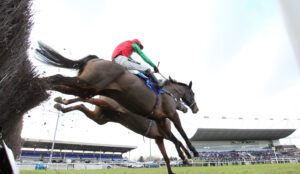 BK1A8727 The Doyen Chief