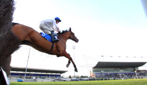 BK1A8772 Kalif Du Berlais