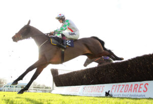 BK1A9017 Guard The Moon