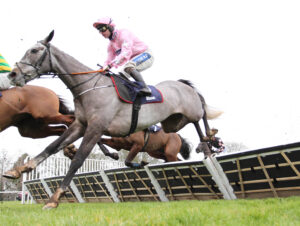 BK1A9586 Scorpio Rising