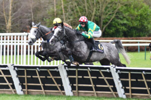 DSC 0019 Clondaw Royale