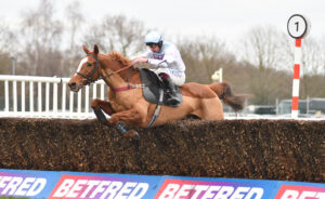 DSC 0145 Sole Solution