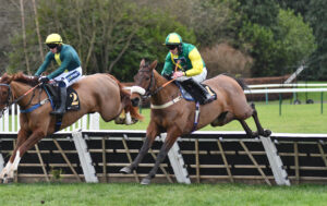 DSC 0168 Diamond Jim