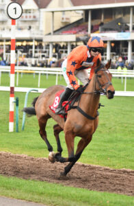 DSC 0190 Supreme Malinas