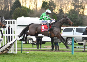 DSC 0206 Park Princess