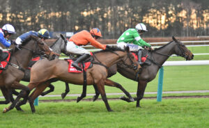 DSC 0212 Supreme Malinas