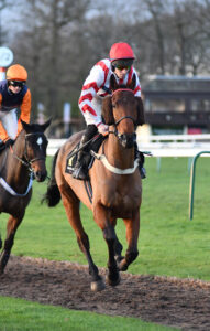 DSC 0222 Super Survivor