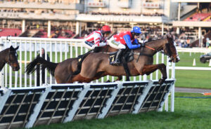 DSC 0235 Caughtinyourtrance