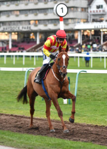 DSC 0239 Serious Challenge