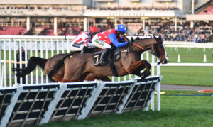 DSC 0248 Caughtinyourtrance