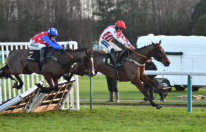 DSC 0256 Super Survivor