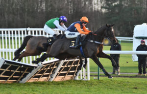 DSC 0260 Saint Palais