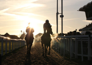 FU0E0564 Silouettes at Cheltenham