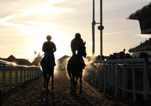 FU0E0565 Silouettes at Cheltenham