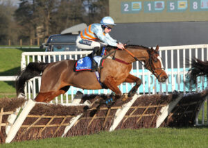 FU0E1365 Royal Rambler