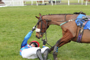 FU0E2055 Chartwell Jock