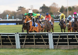 FU0E2185 Iberico Lord