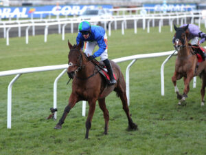 FU0E2236 Williethebuilder