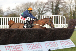 FU0E2391 No Questions Asked