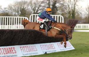 FU0E2392 No Questions Asked