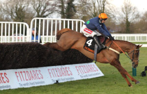 FU0E2393 No Questions Asked