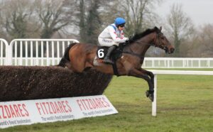 FU0E3413 Protektorat