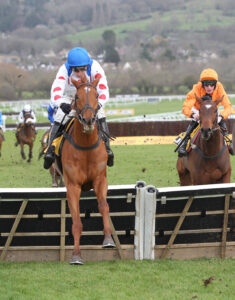 FU0E3736 Maestro Conti