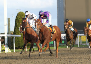 FU0E6293 Waistcoat [right]