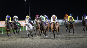 FU0E7011 Naval Ensign [right]