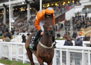 FU0E8215 Welsh Charger