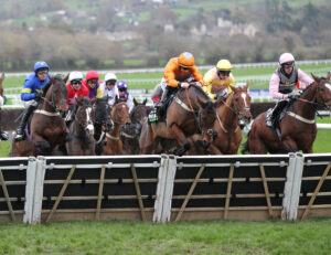 FU0E8242 Welsh Charger