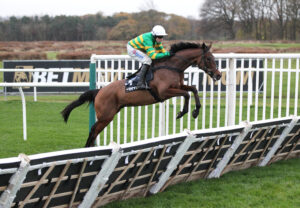 FU0E8843 The New Lion