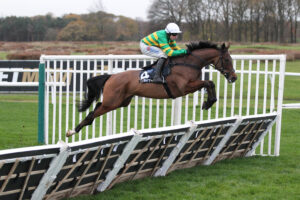 FU0E8844 The New Lion