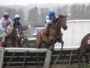 FV1E2386 Playful Fox